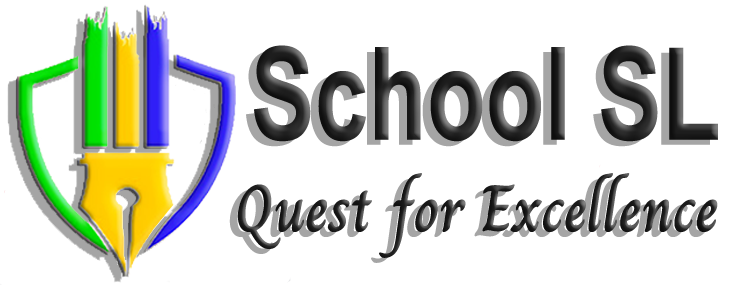 Diversity International Academy